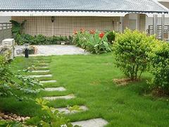 信譽好的屋頂綠化,提供專業的屋頂綠化-福州御景園環保科技提供信譽好的屋頂綠化,提供專業的屋頂綠化的相關介紹、產品、服務、圖片、價格庭院設計、福州植物墻、福州屋頂綠化、福州墻體美化裝飾、福州仿真植物墻、福州辦公綠化、